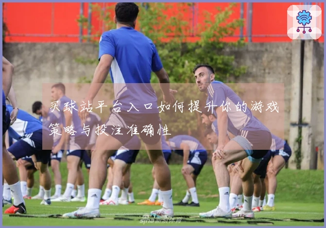 买球站平台入口如何提升你的游戏策略与投注准确性