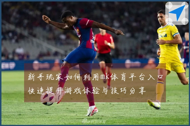 新手玩家如何利用mk体育平台入口快速提升游戏体验与技巧分享
